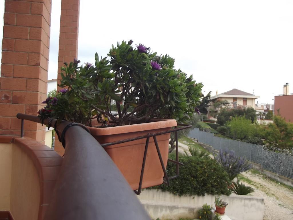 La Specchia Bed & Breakfast Matera Bagian luar foto